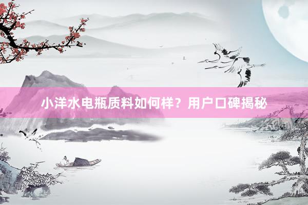 小洋水电瓶质料如何样？用户口碑揭秘